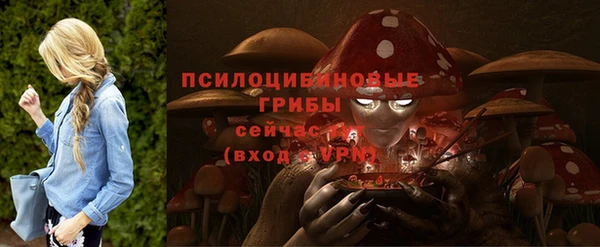 MDMA Premium VHQ Карпинск